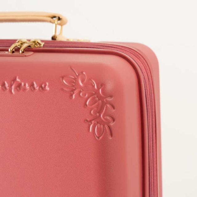 A.L.I スーツケースハードVIOLA(ヴィオラ)旅行日数目安：3〜4泊 36L