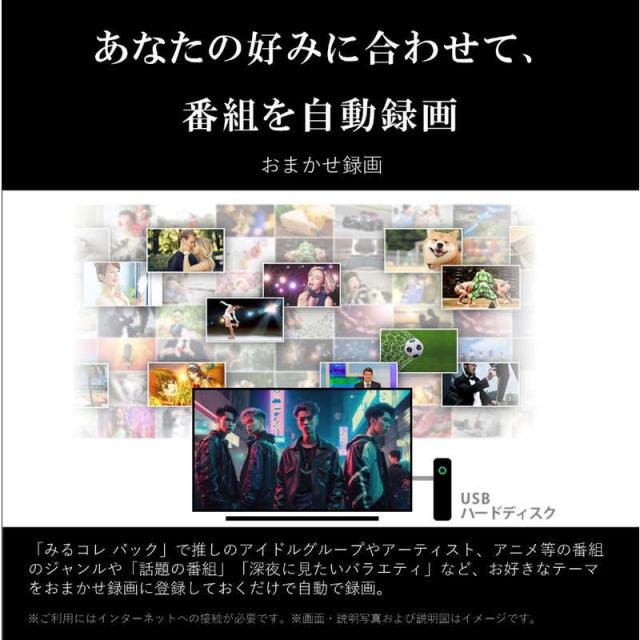 TVS REGZA　液晶テレビ REGZA レグザ E350Mシリーズ [ 50V型 / 4Kチューナー内蔵 / YouTube 対応 ]　50E350M（標準設置無料）_15