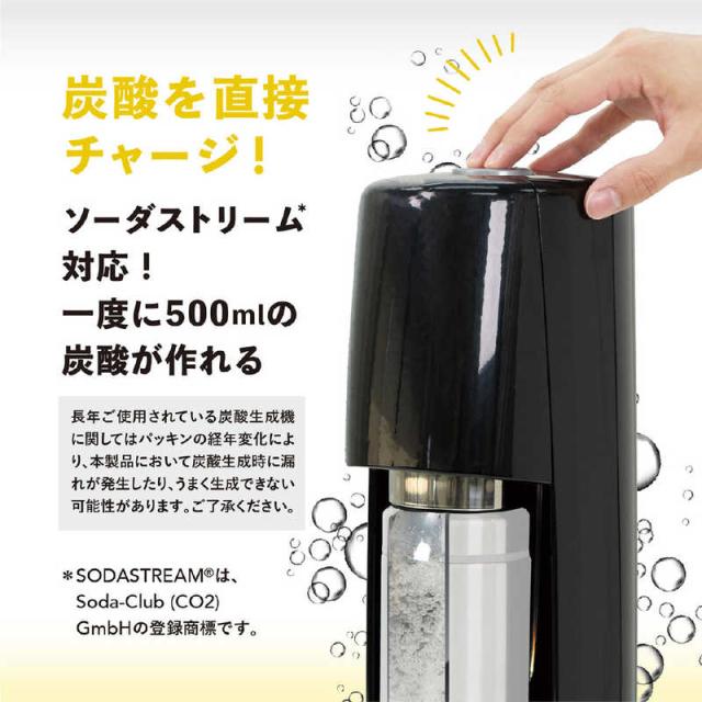 ASH MINA01BLACK 関税送料込 4000円OFF：アウトレット 訳ありセール（撮影使用）】正規取扱店
