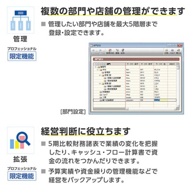 弥生　会計 26 プロフェッショナル 通常版 インボイス制度・電子帳簿保存法対応　YRAV0001_5