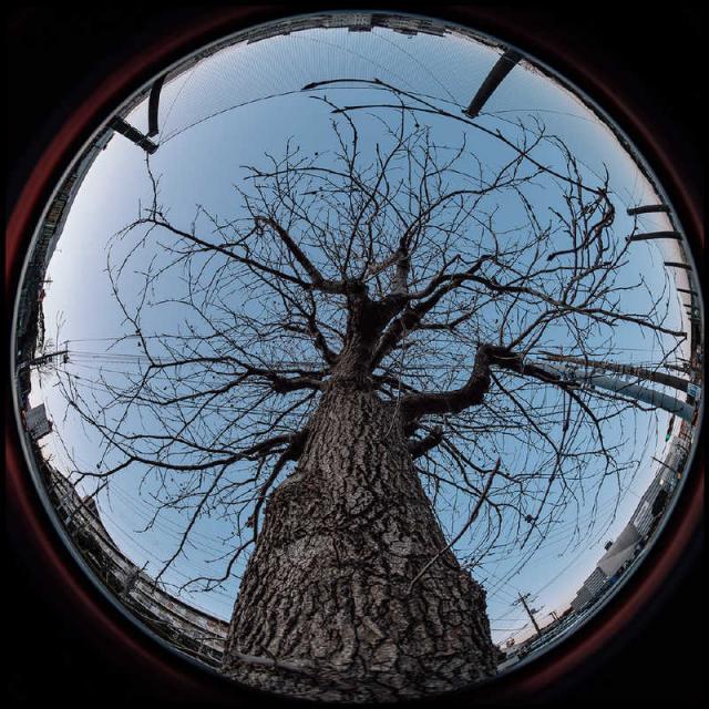 ASTRHORI　カメラレンズ 6.5mm F2.0 Fish-Eye 富士フイルムXマウント APS-C （ FUJIFILM X / 単焦点レンズ ） 　6.5mmF2.0fisheyeXC_5