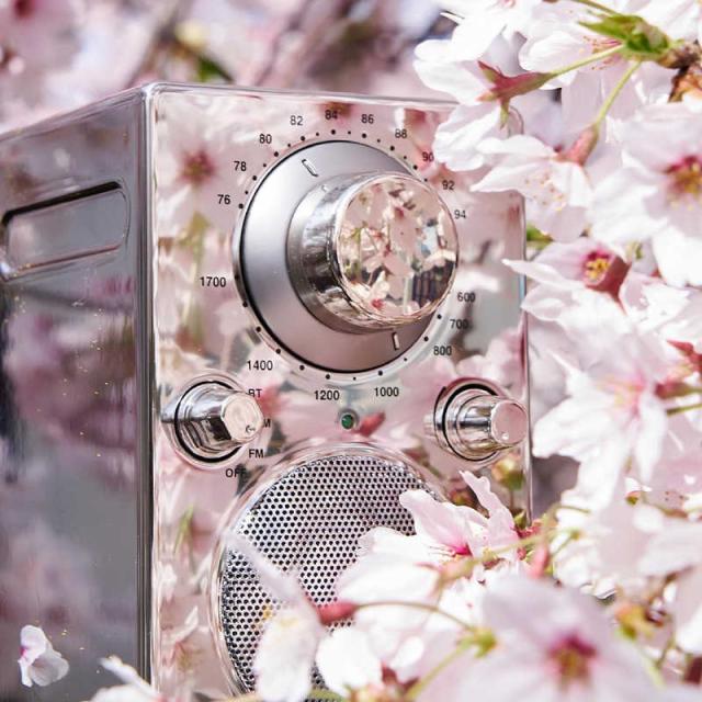 TIVOLIAUDIO　Bluetooth ポータブルラジオスピーカー PAL Bluetoothカーム PALBT9481JP ［Bluetooth対応］　PALBT-9481-JP_5
