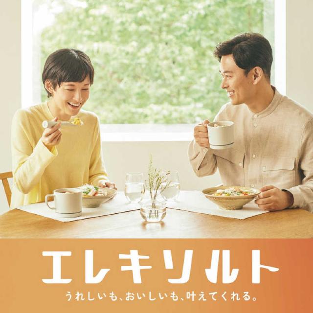 キリンHD 減塩サポート食器 エレキソルト スプーン ES-S002の通販はau