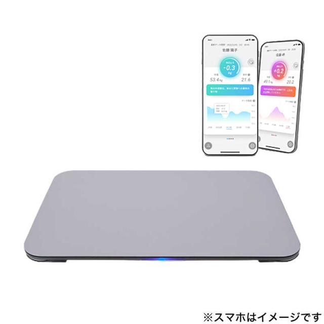 ISSIN　スマートバスマット グレー [スマホ管理機能あり]　SBM22U01LJ-GYの通販は