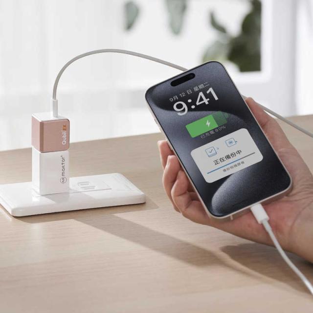 MAKTAR　PD充電対応、高速バックアップストレージ(メモリ内蔵)512GB ローズゴールド　MKPQE-RG-512_1