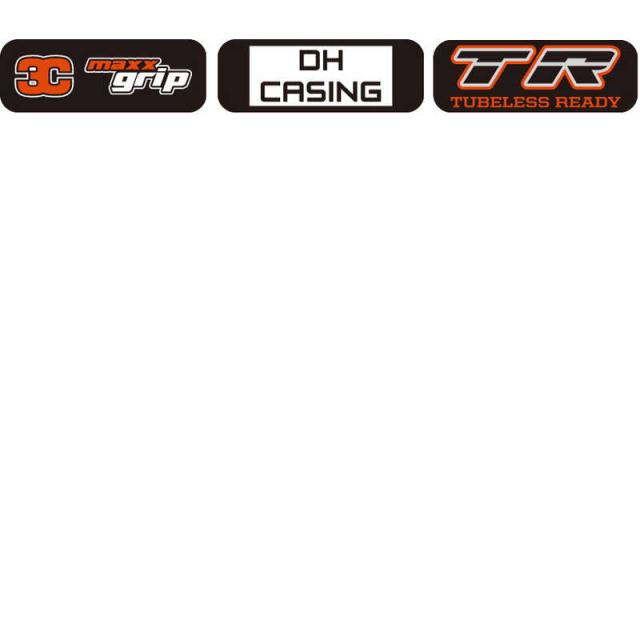 MAXXIS　自転車用タイヤ ミニオン DHR II (29×2.50WT )