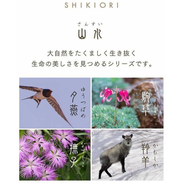 セーラー萬年筆　SHIKIORI-四季織-山水 万年筆 中細(MF) 駒草　11-2050-302_2