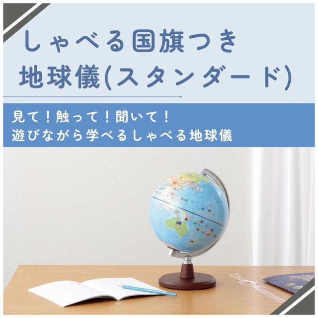 レイメイ　しゃべる国旗付き地球儀 スタンダード (20cm)　OYV46_1