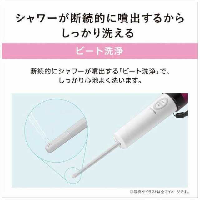 パナソニック Panasonic 携帯用おしり洗浄器｢ハンディ・トワレ｣ DL