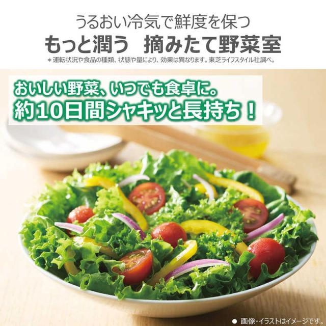 東芝 TOSHIBA 冷蔵庫 6ドア 508L フレンチドア(観音開き) VEGETA 東芝 TOSHIBA 冷蔵庫 6ドア 508L フレンチドア(観音開き) VEGETA