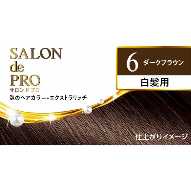 ダリヤ サロンドプロ 泡のヘアカラー・エクストラリッチ(白髪用) 6
