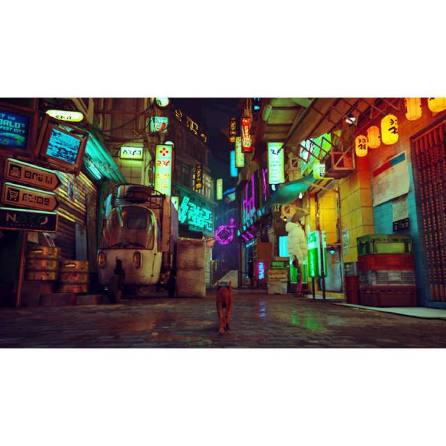 Nintendo Switch Stray コレクターズエディション[ハピネット Amazon.co.jp: Stray コレクターズエディション -Switch 【Amazon.co