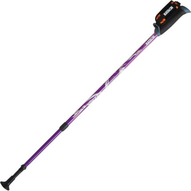 ハタチ　HATACHI DFP プログレッシブズーム(2本組) パープル　WH1120