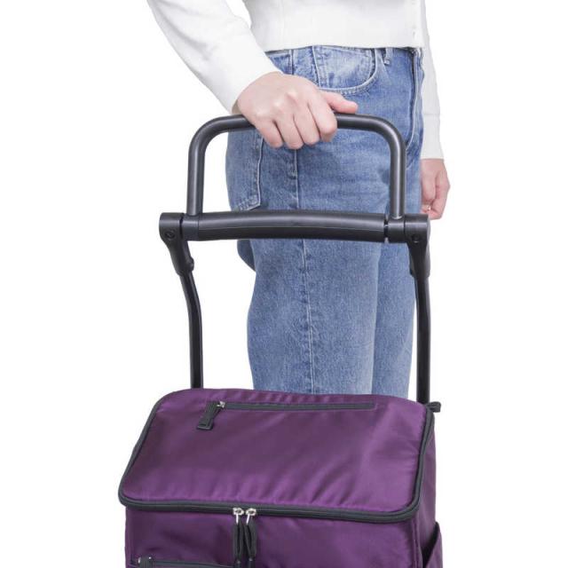 GRANMARIE 保冷温仕様ショッピングカート ブラック GM-125-BKの通販は