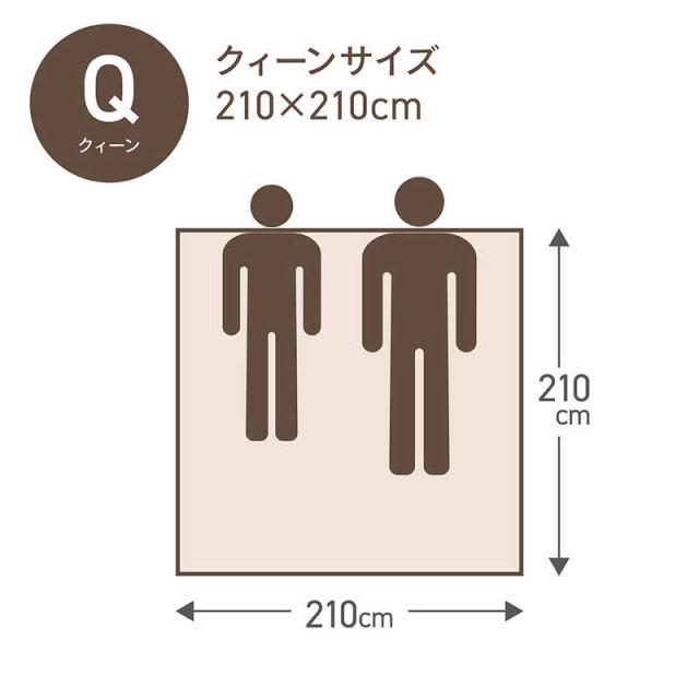 生毛工房　合い掛け羽毛布団生毛ふとん PM480-A クィーン(210×210cm) 春 秋用 ポーランド産ホワイトマザーグースダウン95％ 日本製　PM-480-A_5