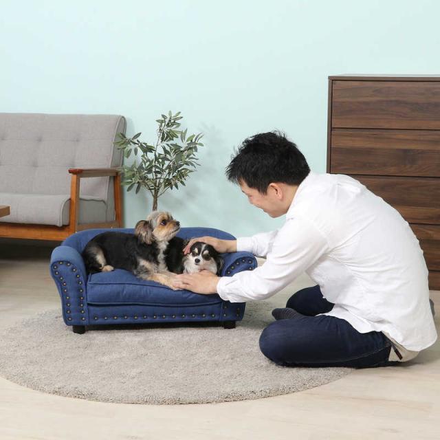 不二貿易 【完成品（一部取付）】ペットソファ（チェスターフィールド風） ＢＬ 不二貿易 ペットソファ(チェスターフィールド風) BL