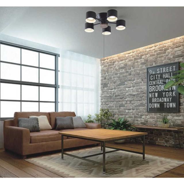 大光電機　LEDシャンデリア [10畳 /電球色]　DXL-81404 14,856円