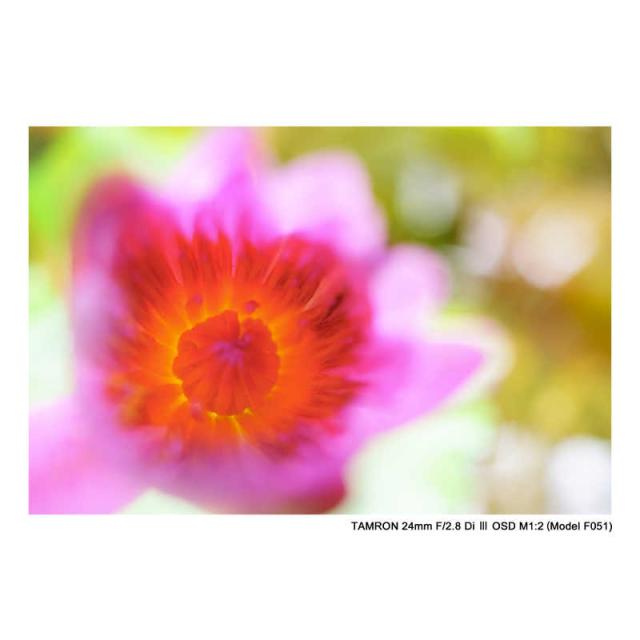 タムロン　カメラレンズ (ソニーE用/フルサイズ対応)　24mm F/2.8 Di III OSD M1：2 (Model F051)_5