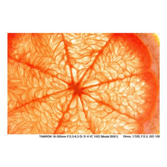 タムロン　カメラレンズ (ソニーE/APS-C用)　18-300mm F/3.5-6.3 Di III-A VC VXD (Model B061)