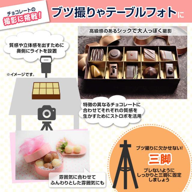 ニコン だるく スピードライトSB-700 & 単三電池、充電器