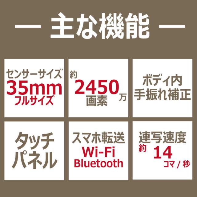 ニコン　Nikon　ミラーレス 一眼 カメラ　Z6II_1