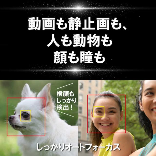 ニコン　Nikon　ミラーレス 一眼 カメラ　Z6II_6