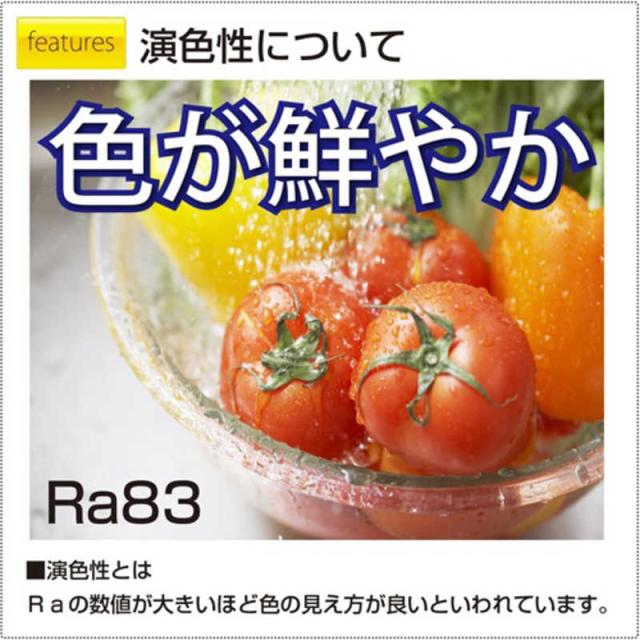 瀧住 LEDともし火 和風シャンデリアともし火 12畳 昼光色 RV12641