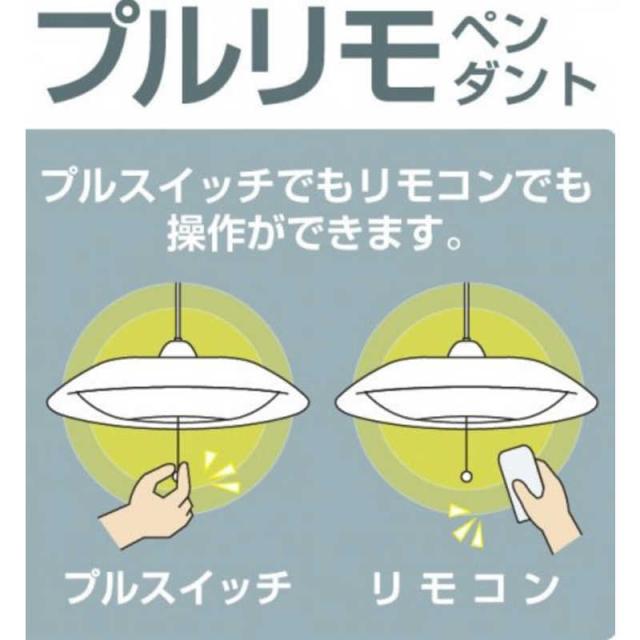 瀧住　LED照明 和風ペンダントライト 12畳 昼光色 リモコン付属　RVR12934