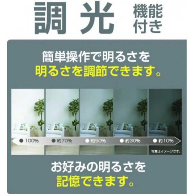 瀧住　LED照明 和風ペンダントライト 12畳 昼光色 リモコン付属　RVR12934