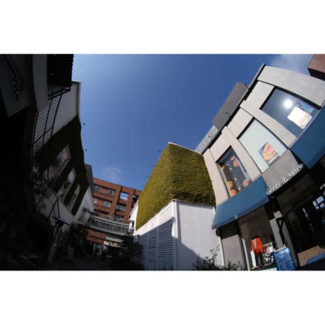 ケンコー　カメラレンズ ［ソニーE］　SZ 8mm F2.8 FISH-EYE MF_8
