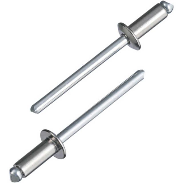 ロブテックス　ブラインドリベット(ステンレス/スティールセイ) 4-　NSS41A