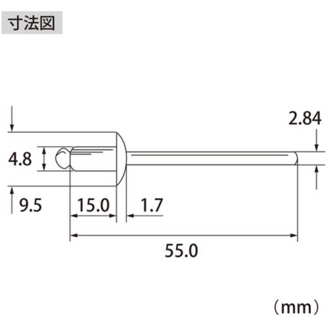 ロブテックス　ブラインドリベット ステンレス/ステンレスセイ 6-6(　NST66A_6