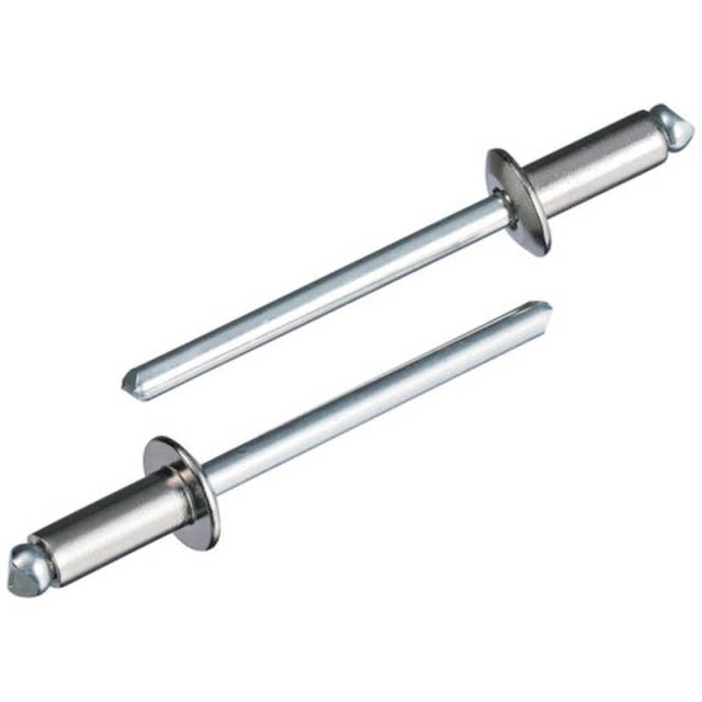 ロブテックス　エビブラインドリベット(丸頭)ステンレス/スティｰル製66(500本入) 　LSS66の通販は