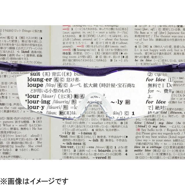 Hazuki Company Hazuki ハズキルーペ ラージ(ブラックグレー)クリア