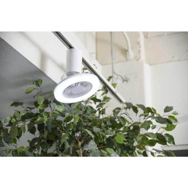 スワン電器 LEDファンシーリング UZUKAZEmini 昼光色LED FCE-230WHの通販は スワン電器 LEDファンシーリング UZUKAZEmini 昼光色LED FCE-230WHの通販は