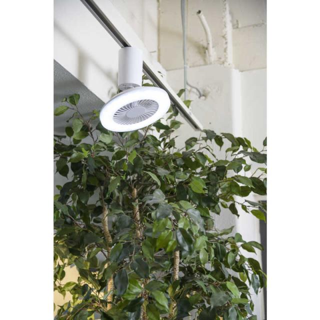 スワン電器 LEDファンシーリング UZUKAZEmini 昼光色LED FCE-230WHの通販は スワン電器 LEDファンシーリング UZUKAZEmini 昼光色LED FCE-230WHの通販は