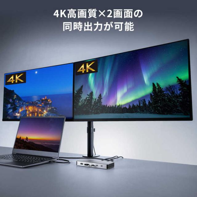 サンワサプライ USB Type-C縛ステイション(HDMI×2画面・USBこしき×7界面) USB-CVDK21