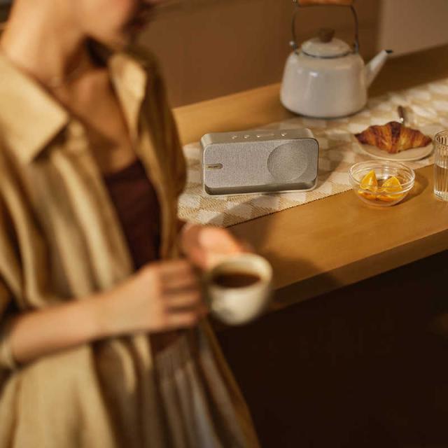 BOSE　ブルートゥーススピーカー Bose SoundLink [ Bluetooth 対応 ] LIGHT SILVER　SoundLink Home Bluetooth Speaker_5