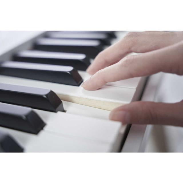カシオ CASIO 陰電子洋琴 Privia（プリヴィア）白いこと [88鍵盤楽器] PX-S7000WE