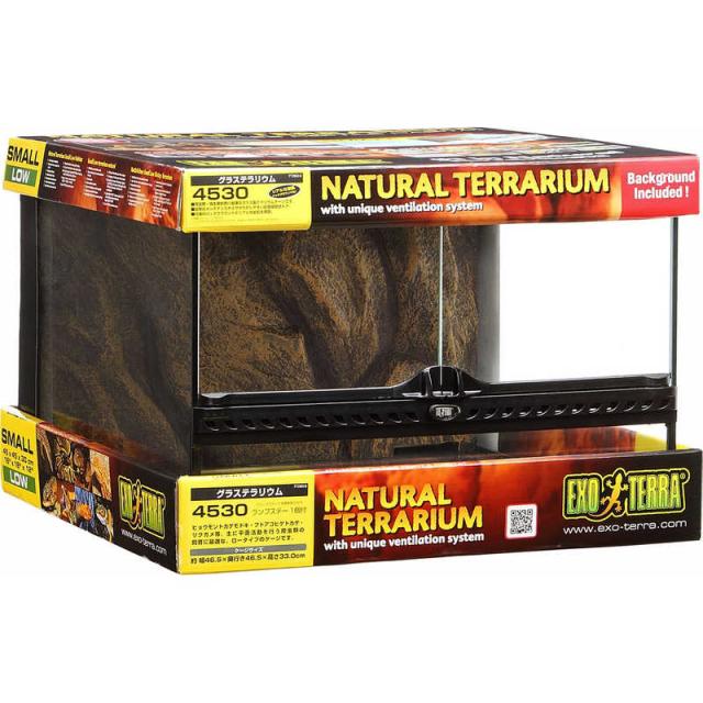 グラステラリウム4530 暖突等おまけ付 ジェックス エキゾテラ グラステラリウム 4530 PT2603