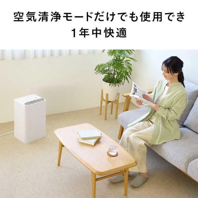 ツインバード TWINBIRD 衣類乾燥除湿機 コンプレッサー方式 空気清浄
