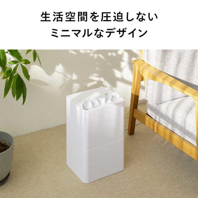 ツインバード TWINBIRD 衣類乾燥除湿機 コンプレッサー方式 空気清浄