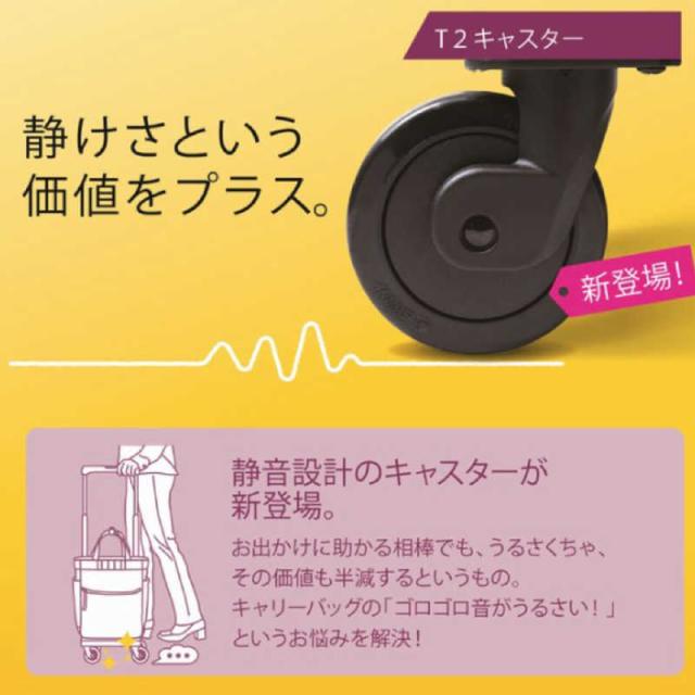 スワニー　D-640 ルバンド お買い物キャリー Lサイズ ルバンド グレージュ　64000_8