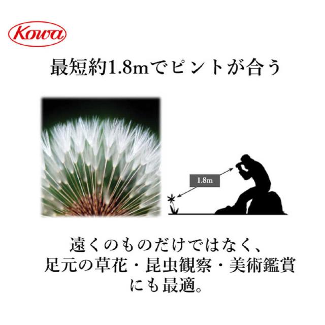KOWA　双眼鏡 [ 8倍 / 径25mm / 防水 ]　BD25-8GR_4