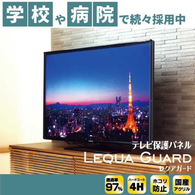ニデック 液晶テレビ保護パネル LEQUA GUARD [49/50VS型 /反射
