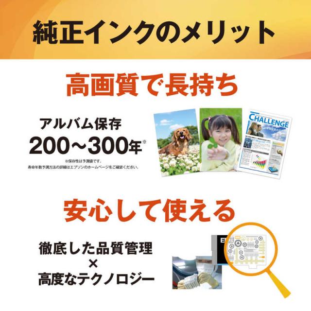エプソン EPSON 純然たる印刷者インキ 標準尺度大きさ シアン IB02CA