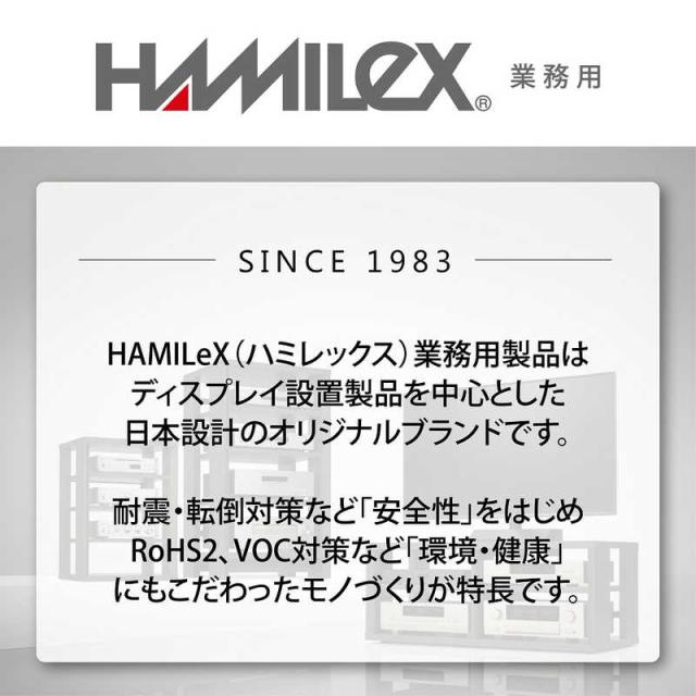 ハヤミ工産　〜120V型対応 壁掛金具(前後チルト) ホワイト　MH-953W_4