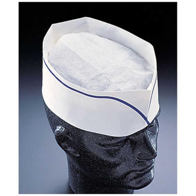 パル　フォレージュハット ブルーライン A95008 (100枚入)　SHT27の通販は 5,295円