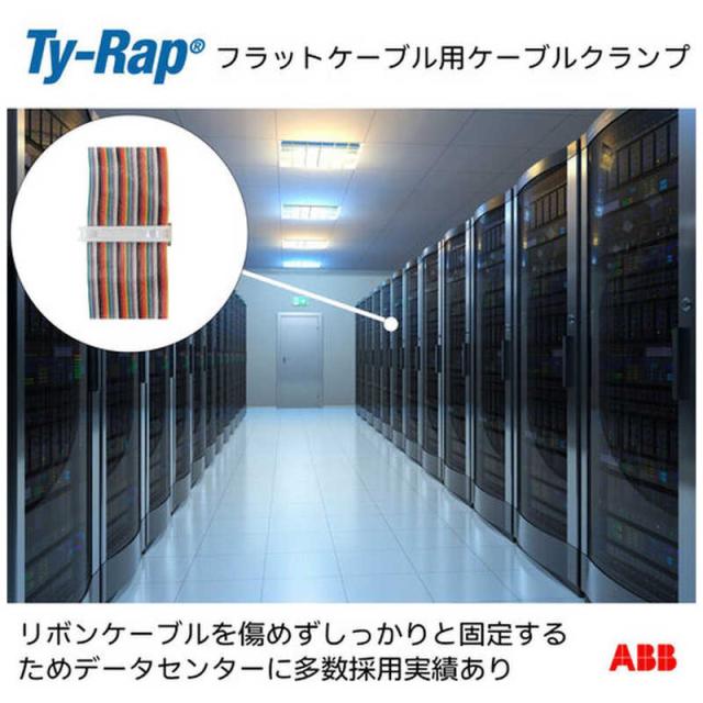 ABB TY-Rap 坦々たる有線テレビ用ケーブルクランプ(皿ねじくっ付ける/しがみ付く磁気テープ付き添い人)(自然的色)(小袋)有線テレビ幅最高限度25.4粍50個入り口・入口 FCC1A