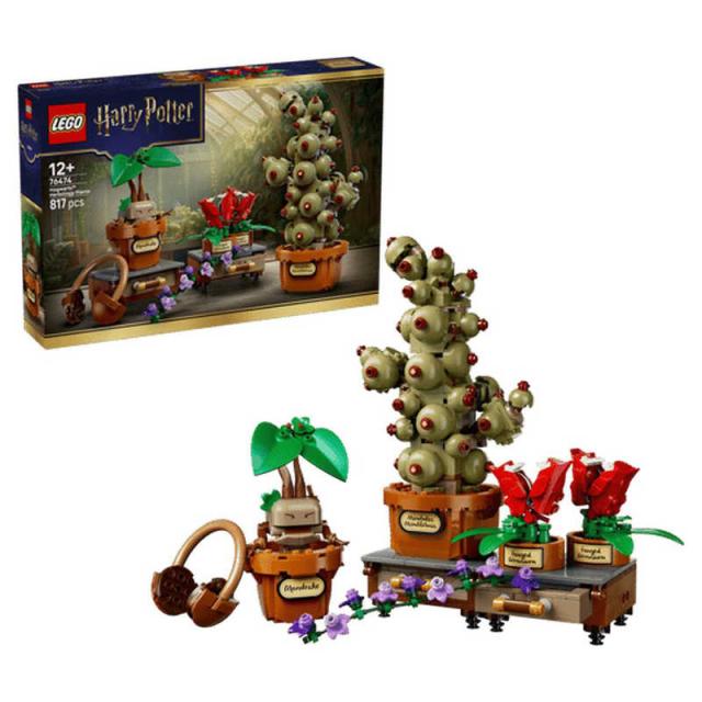 レゴジャパン　レゴ(LEGO) ハリー・ポッター ホグワーツ 薬草学の魔法植物　76474